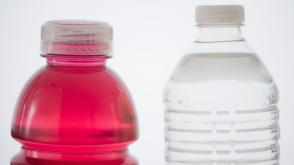 Bottles of sports drinks