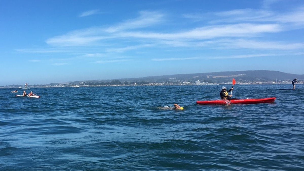 open-water swim, Monterrey Bay, endurance